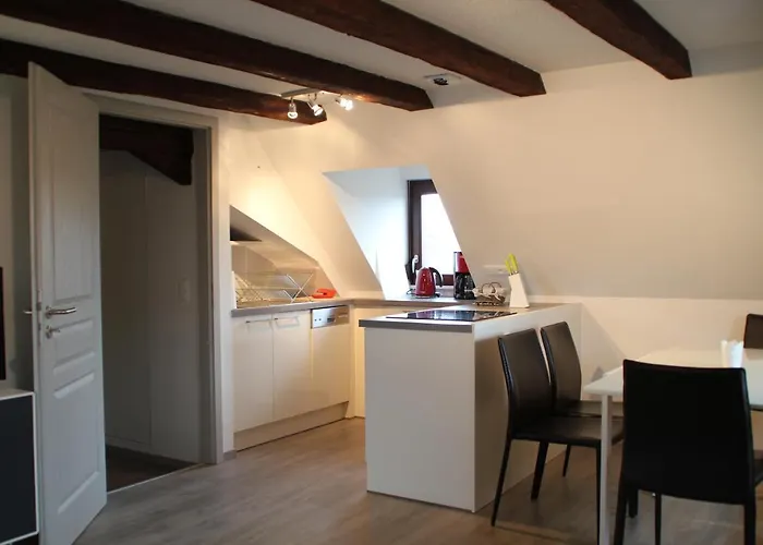 A L\'Ill - Apparts & Studios Strasbourg Hyper Centre