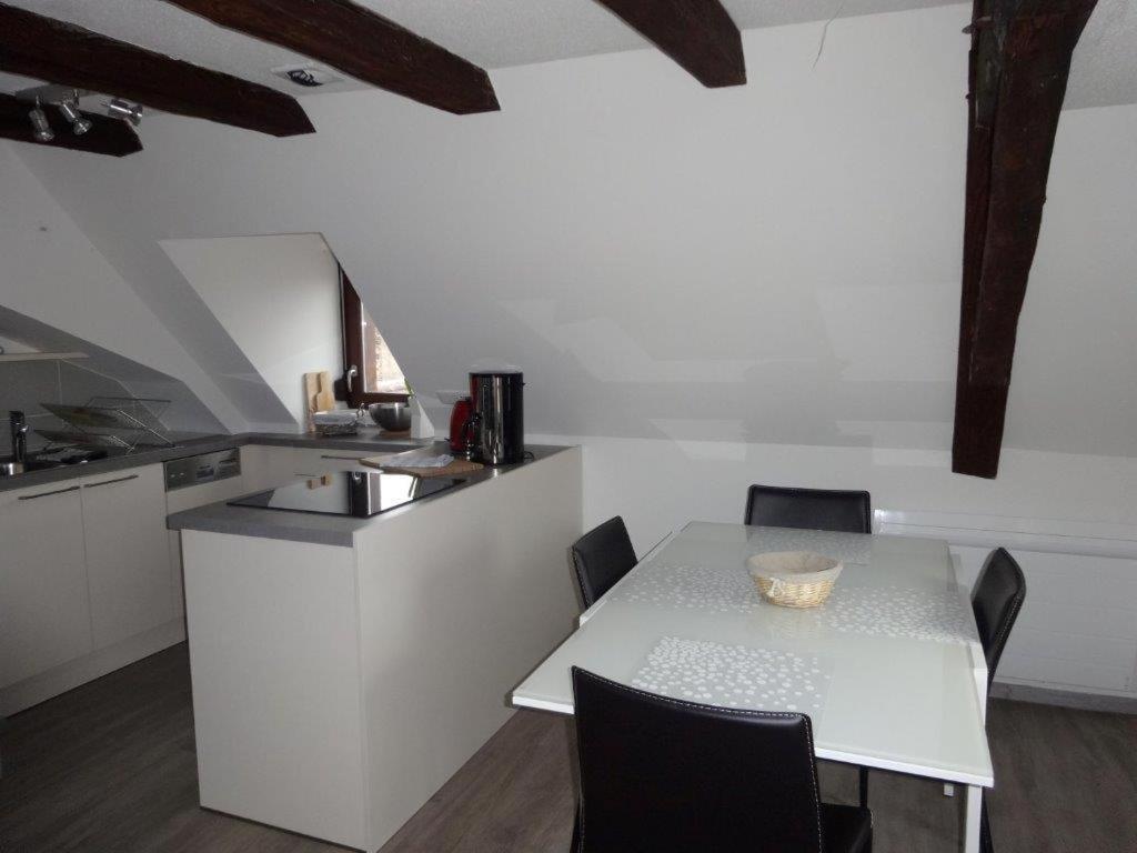 Appartement A L'ill - & Hyper Centre Straatsburg