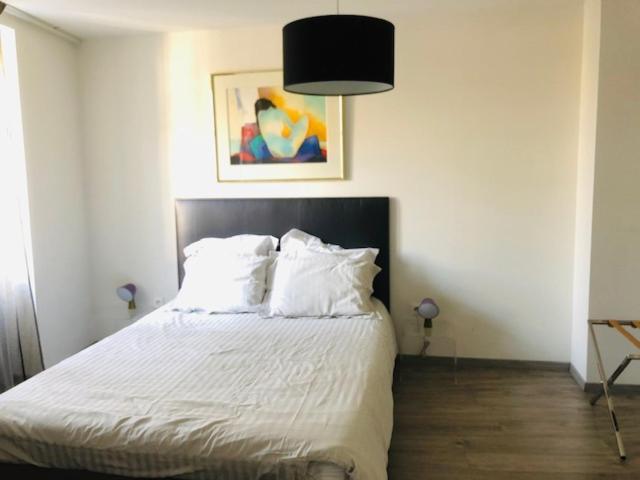 A L'ill - & Hyper Centre Appartamento Strasburgo