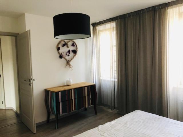 A L'ill - & Hyper Centre Appartement Straatsburg