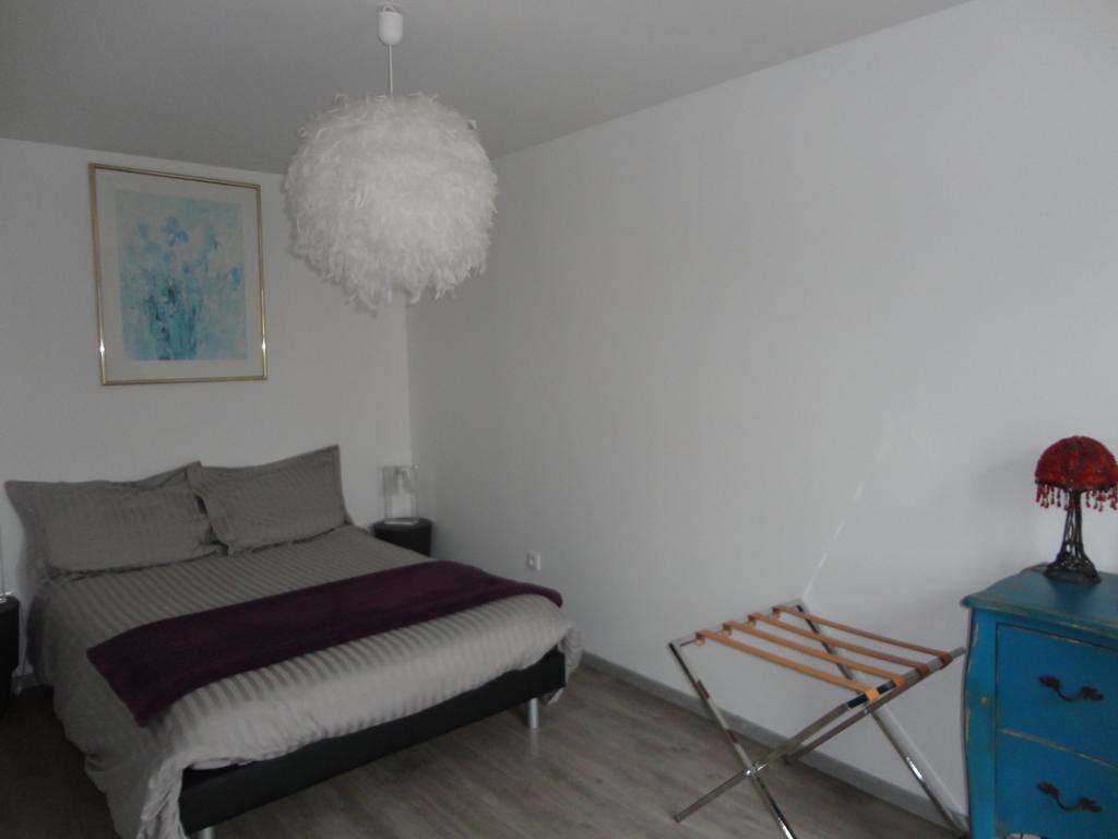 Appartement A L'ill - Apparts&studios Hyper Centre Strasbourg
