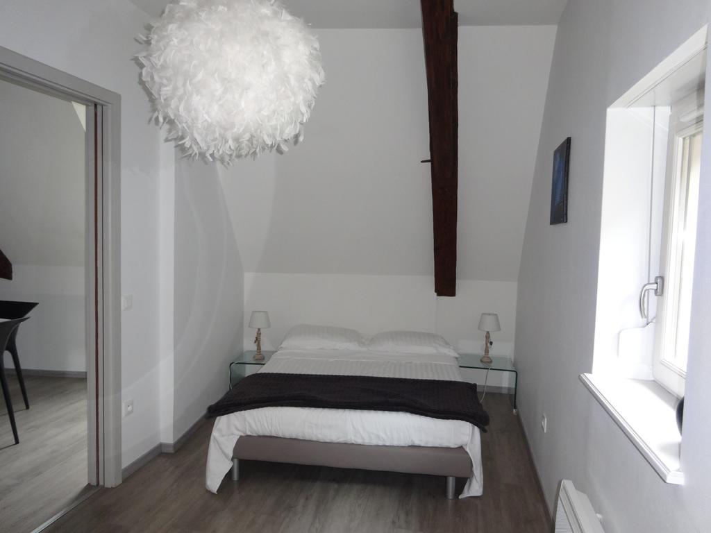 Appartement A L'ill - Apparts&studios Hyper Centre Strasbourg