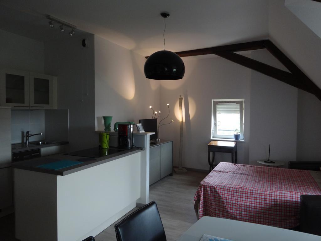 A L'ill - Apparts&studios Hyper Centre Strasbourg
