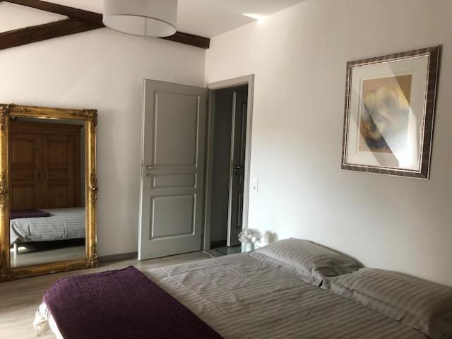 Appartement A L'ill - Apparts&studios Hyper Centre